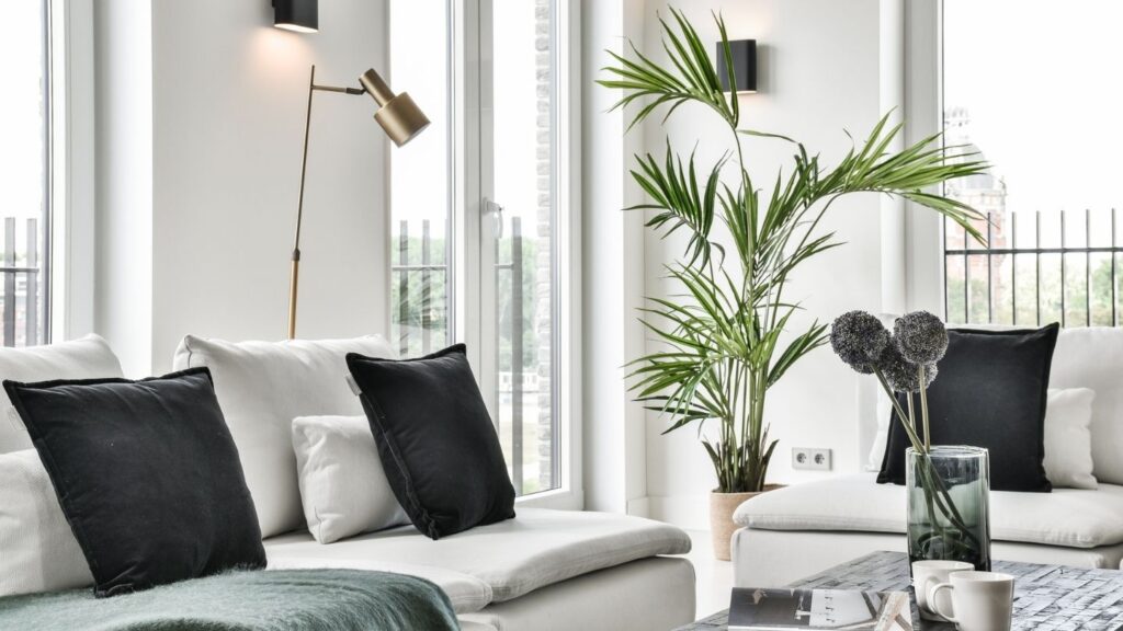 WHITE AND BLACK DECOR