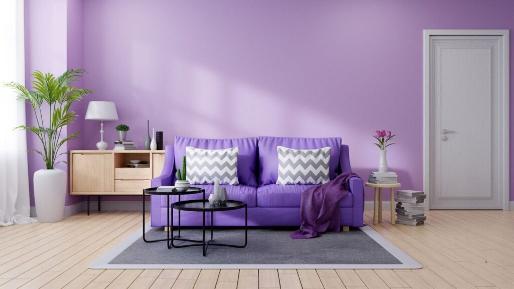 PURPLE DECOR AND SOFA